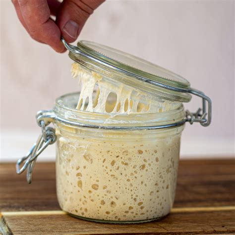 How do you make sourdough starter - Remove the starter from the fridge and let it come to room temperature. To a large bowl or stand mixer bowl, add 1 cup starter, bread flour, salt, sugar, oil, and warm water. Mix well. Using a dough hook or by hand, knead for 5 to 10 minutes until smooth and elastic. Put the dough into a greased bowl.